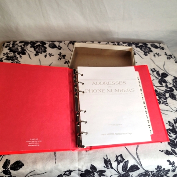 Really cute grey cat address - Picture 2 of 4